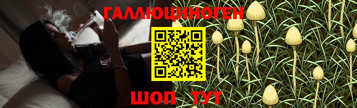 Галлюциногенные грибы Psilocybe Биробиджан